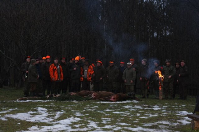 Polowanie Wigilijne 2013